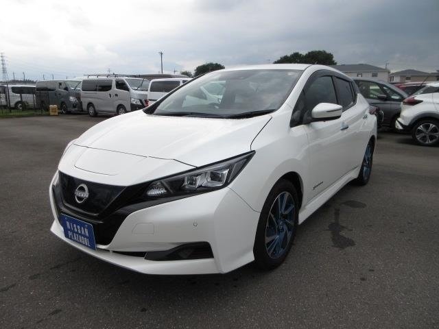 Nissan Leaf EV - 1