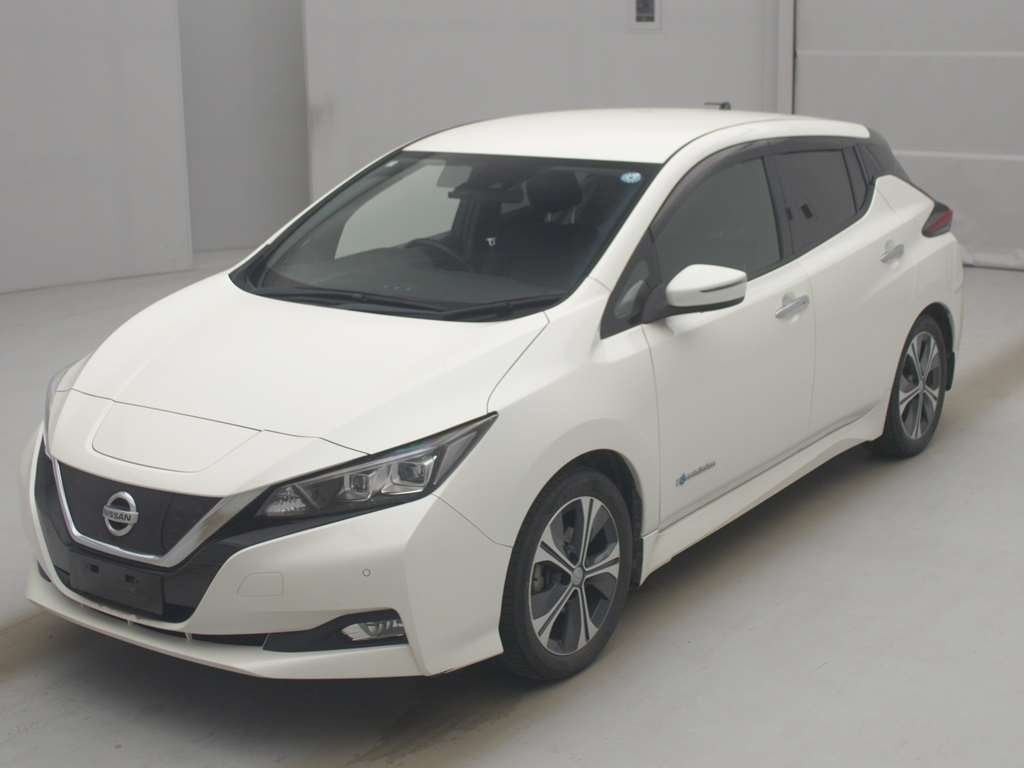 Nissan Leaf X 100,000 Units Anniversary Edition - 1