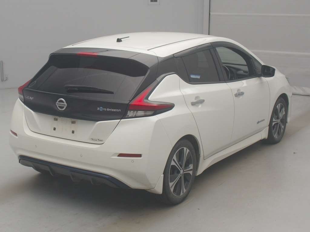 Nissan Leaf X 100,000 Units Anniversary Edition - 2