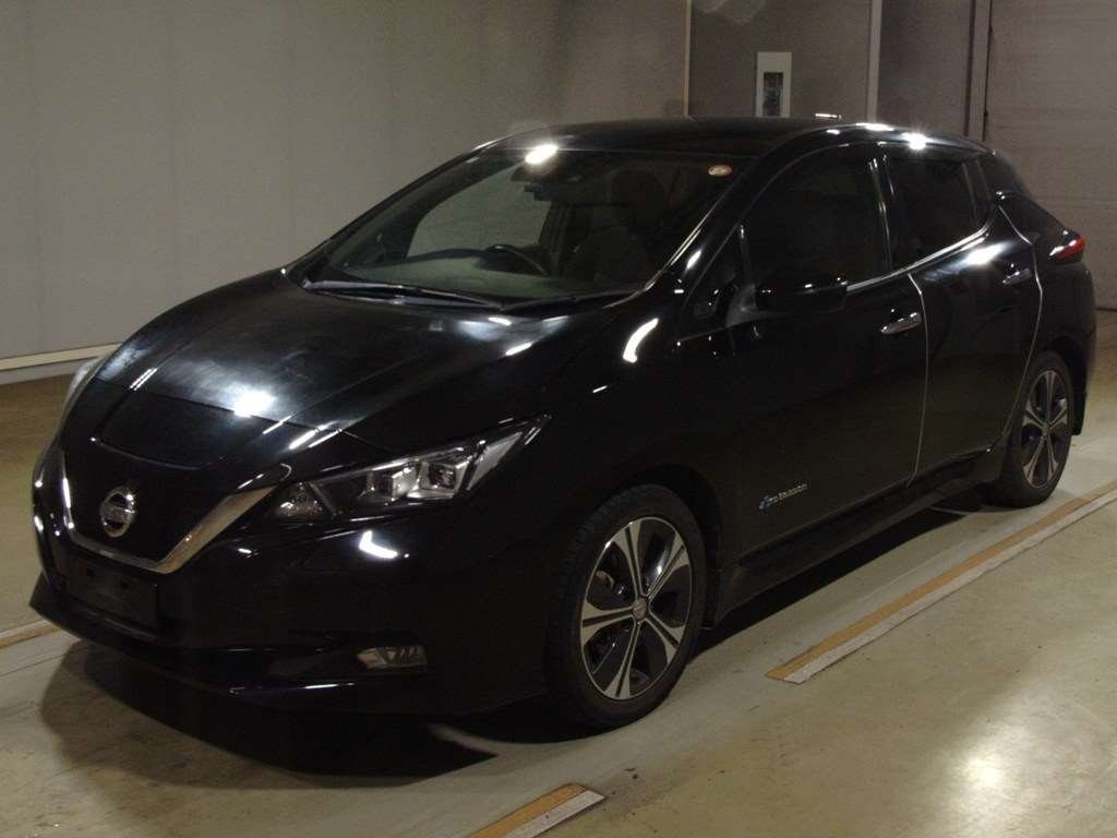 Nissan Leaf X 100,000 Units Anniversary Edition - 1