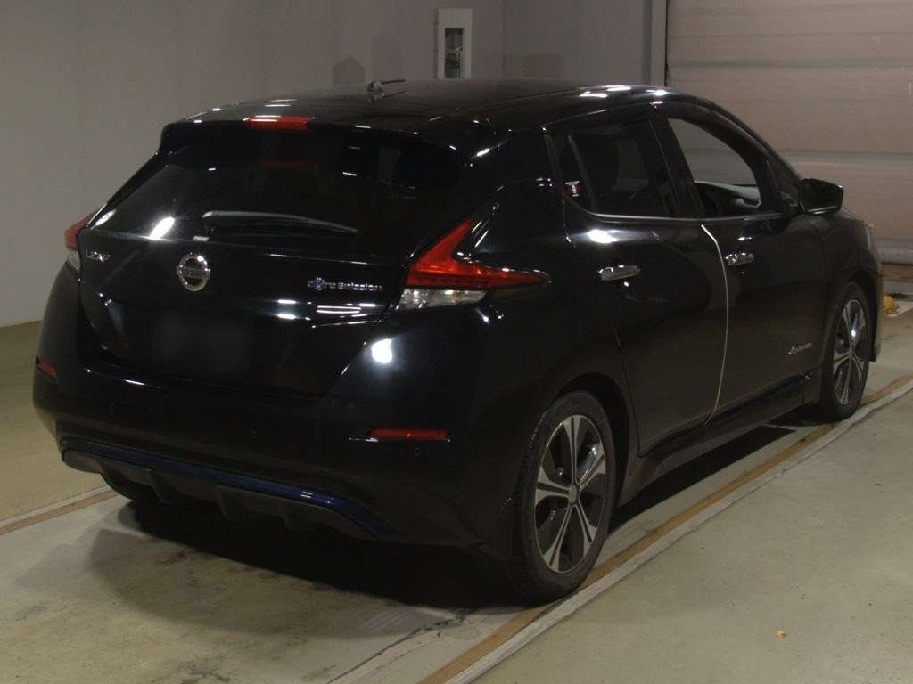 Nissan Leaf X 100,000 Units Anniversary Edition - 2