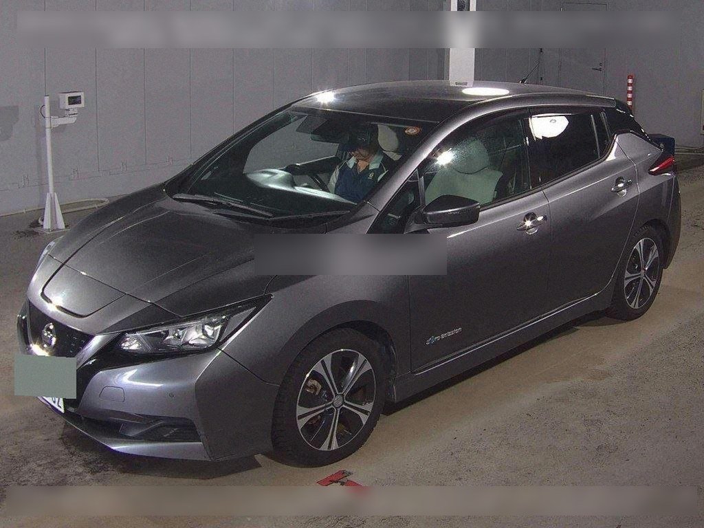 Nissan Leaf X 100,000 Units Anniversary Edition - 2