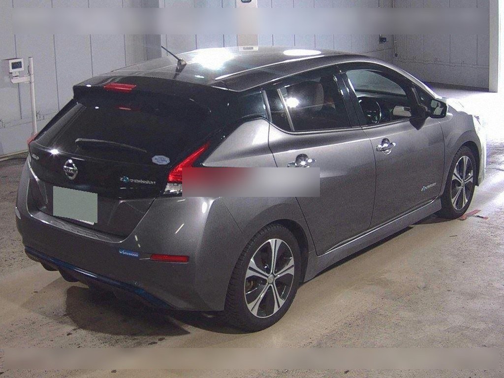 Nissan Leaf X 100,000 Units Anniversary Edition - 3