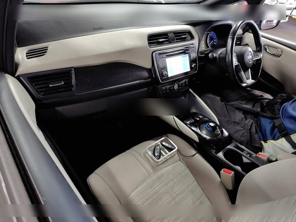 Nissan Leaf X 100,000 Units Anniversary Edition - 5