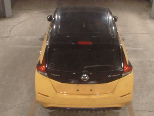 Nissan Leaf X - 9